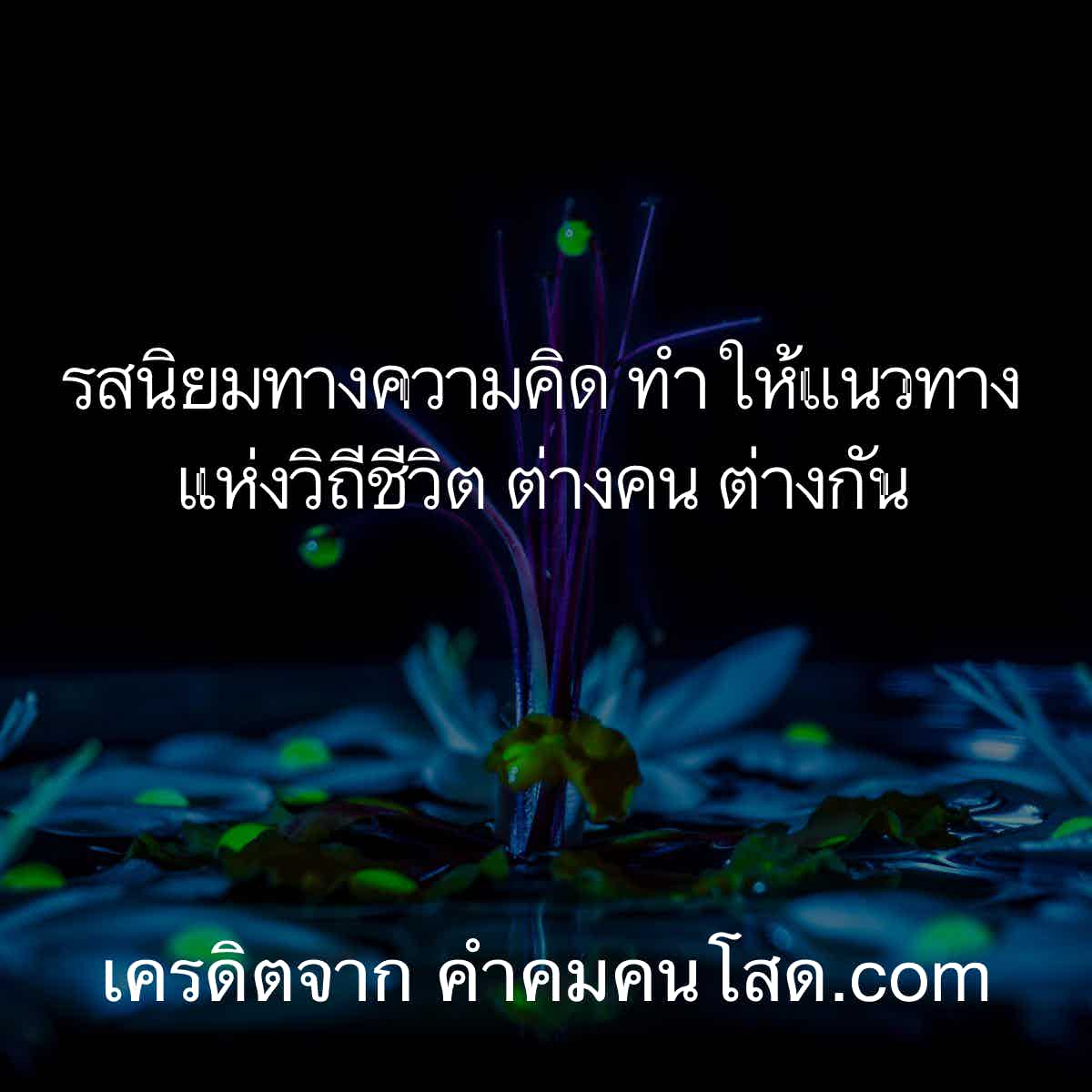 ใหม่ 109 แคปชั่นเเรงๆ รสนิยมทางความคิด ทำให้แนวทางแห่งวิถีชีวิต ต่างคน  ต่างกัน